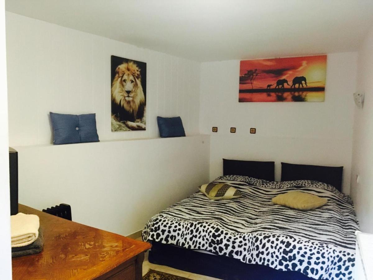 Rolling Stone Hostel 브라쇼브 외부 사진