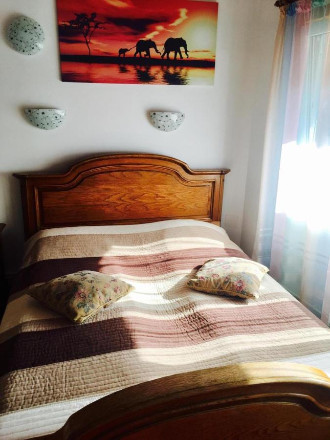 Rolling Stone Hostel 브라쇼브 외부 사진